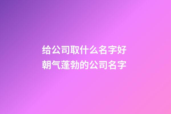 给公司取什么名字好 朝气蓬勃的公司名字-第1张-公司起名-玄机派